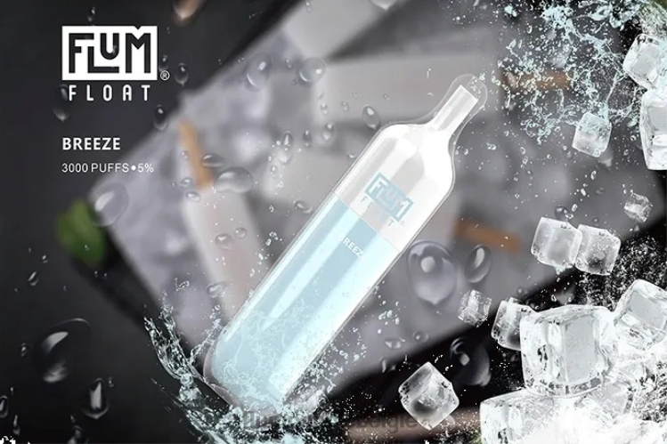 FLUM FLOAT 3000 trekjes 4864R19 briesje - Flum Pebble Vape Flavors