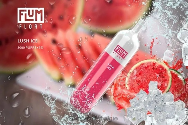 FLUM FLOAT 3000 trekjes 4864R52 weelderig ijs - Flum Pebble Flavors