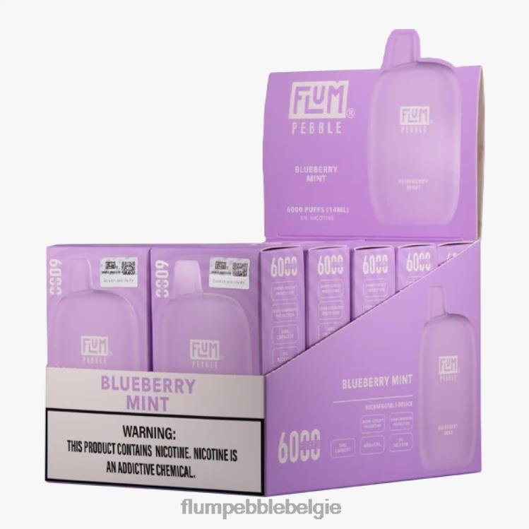 FLUM PEBBLES 6000 soesjes 10 pakjes 4864R18 bosbessen munt - Flum Pebble Vape Price