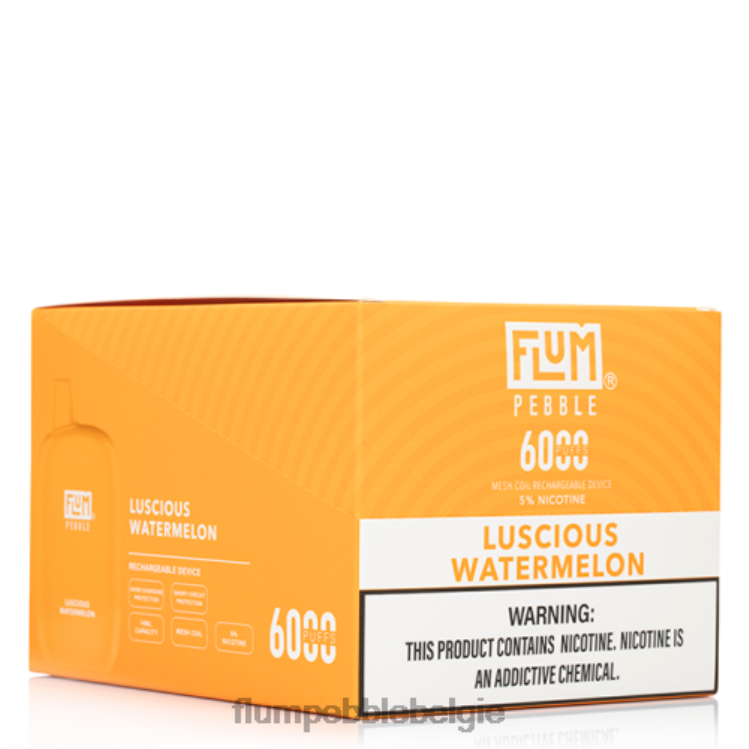FLUM PEBBLES 6000 soesjes 10 pakjes 4864R51 heerlijke watermeloen - Flum Pebble Vape Belgie
