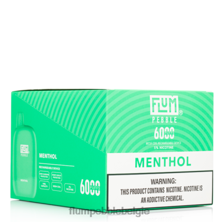 FLUM PEBBLES 6000 soesjes 10 pakjes 4864R58 menthol - Flum Pebble Vape Price