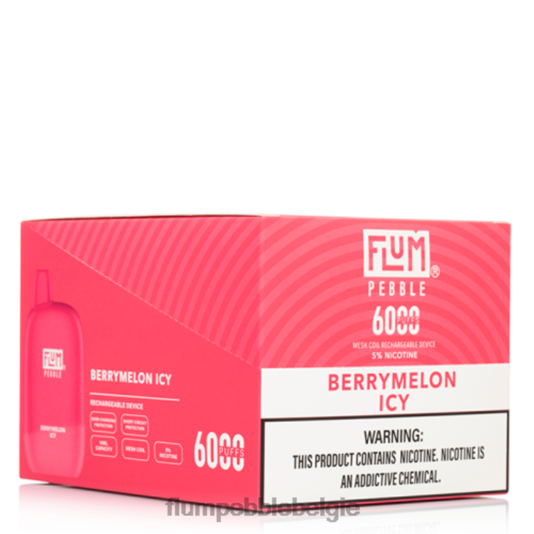 FLUM PEBBLES 6000 soesjes 10 pakjes 4864R8 bessenmeloen ijskoud - Flum Pebble Vape Price