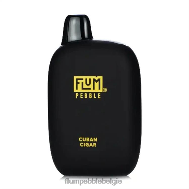FLUM PEBBLES 6000 trekjes 4864R29 Cubaanse sigaar - Flum Pebble Vape Flavors