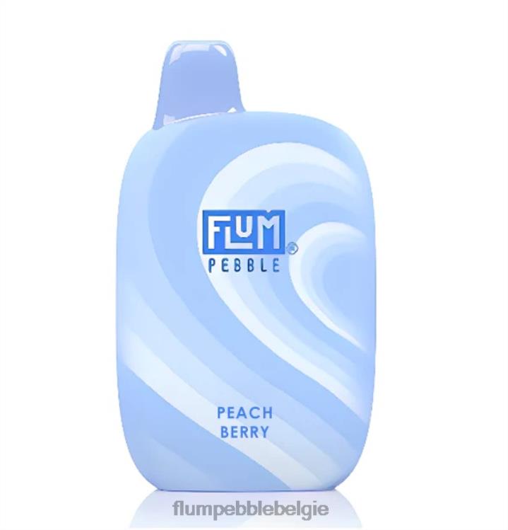 FLUM PEBBLES 6000 trekjes 4864R39 perzik bes - Flum Pebble Vape Flavors