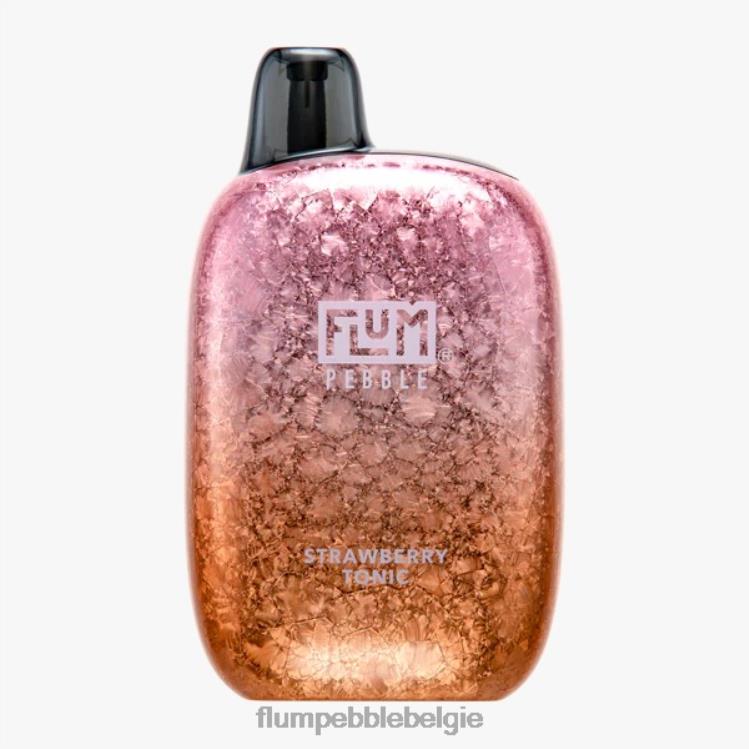 FLUM PEBBLES 6000 trekjes 4864R47 aardbei tonicum - Flum Pebble Vape Website