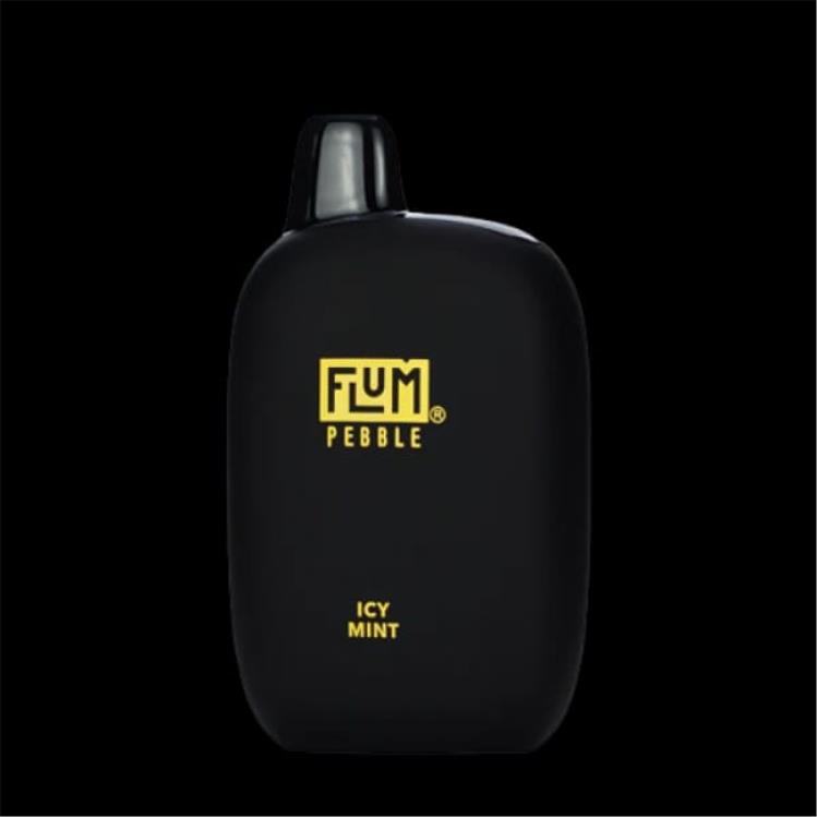FLUM PEBBLES 6000 trekjes 4864R49 ijskoude munt - Flum Pebble Vape Flavors