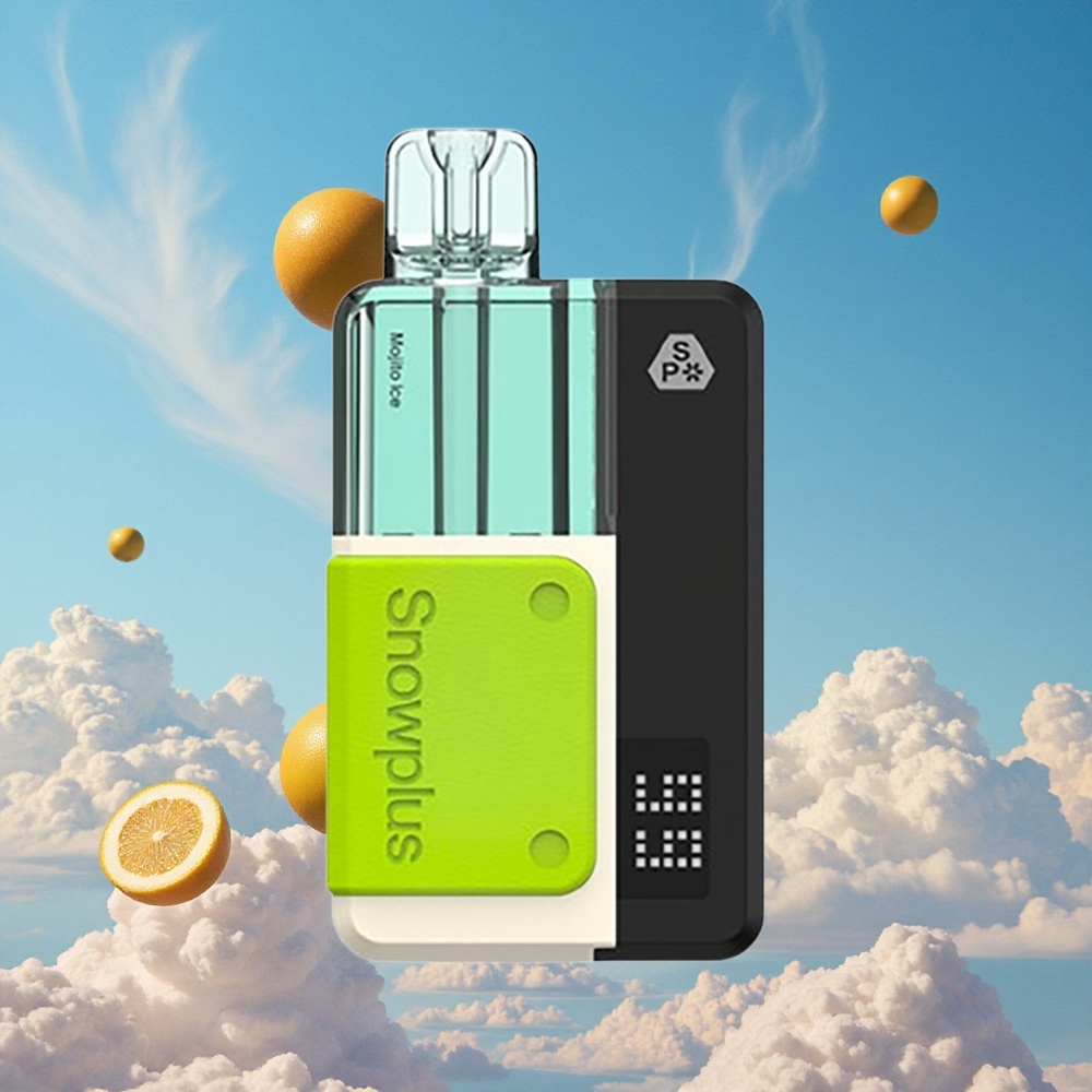 Mojito IJs Snowplus Swift 5000 Puffs Dubbele Mesh Spoel Belgie Groothandel