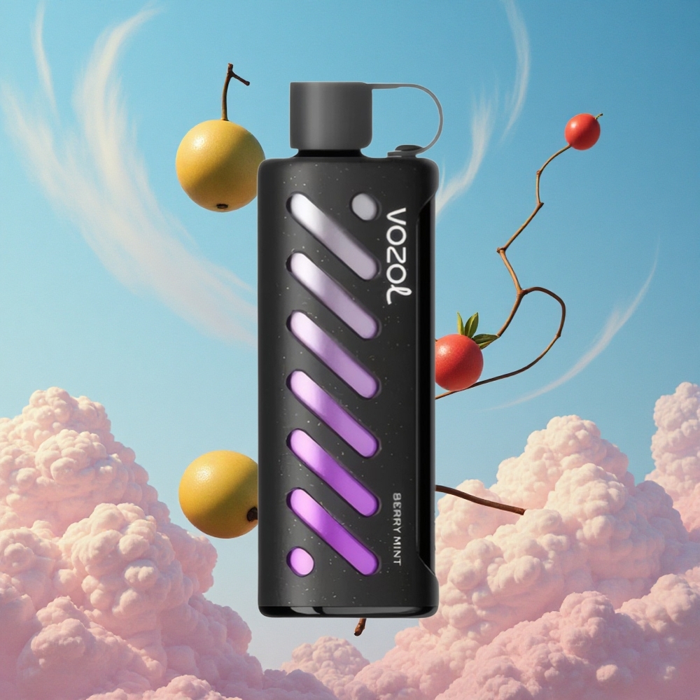 Bes Mint Smaak Combinatie VOZOL Gear Shisha 25000 Puffs Dubbele Mesh Spoel Dual Modes Belgie Groothandel