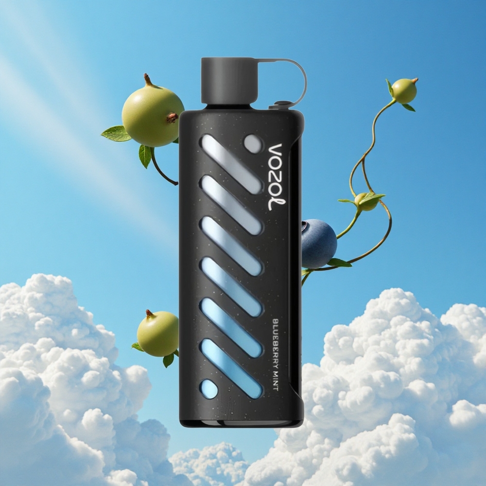 Blauwe Bes Munt VOZOL Gear Shisha 25000 Puffs Dubbele Mesh Spoel Dual Modes Belgie Groothandel