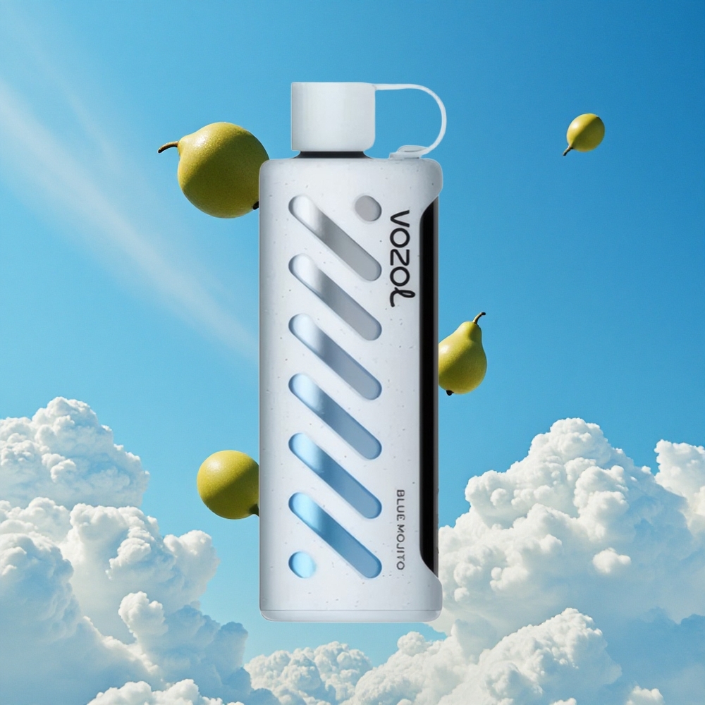 Blauwe Mojito VOZOL Gear 25000 Puffs Dubbele Mesh Spoel Dual Modes Belgie Groothandel