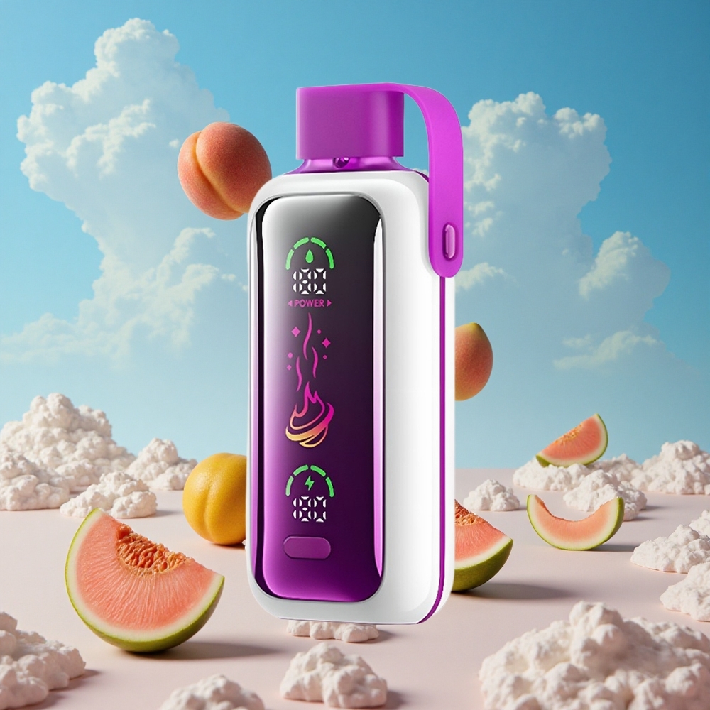 Perzik Mango Watermeloen VOZOL Star 20000 Puffs Dubbele Mesh Spoel Belgie Groothandel