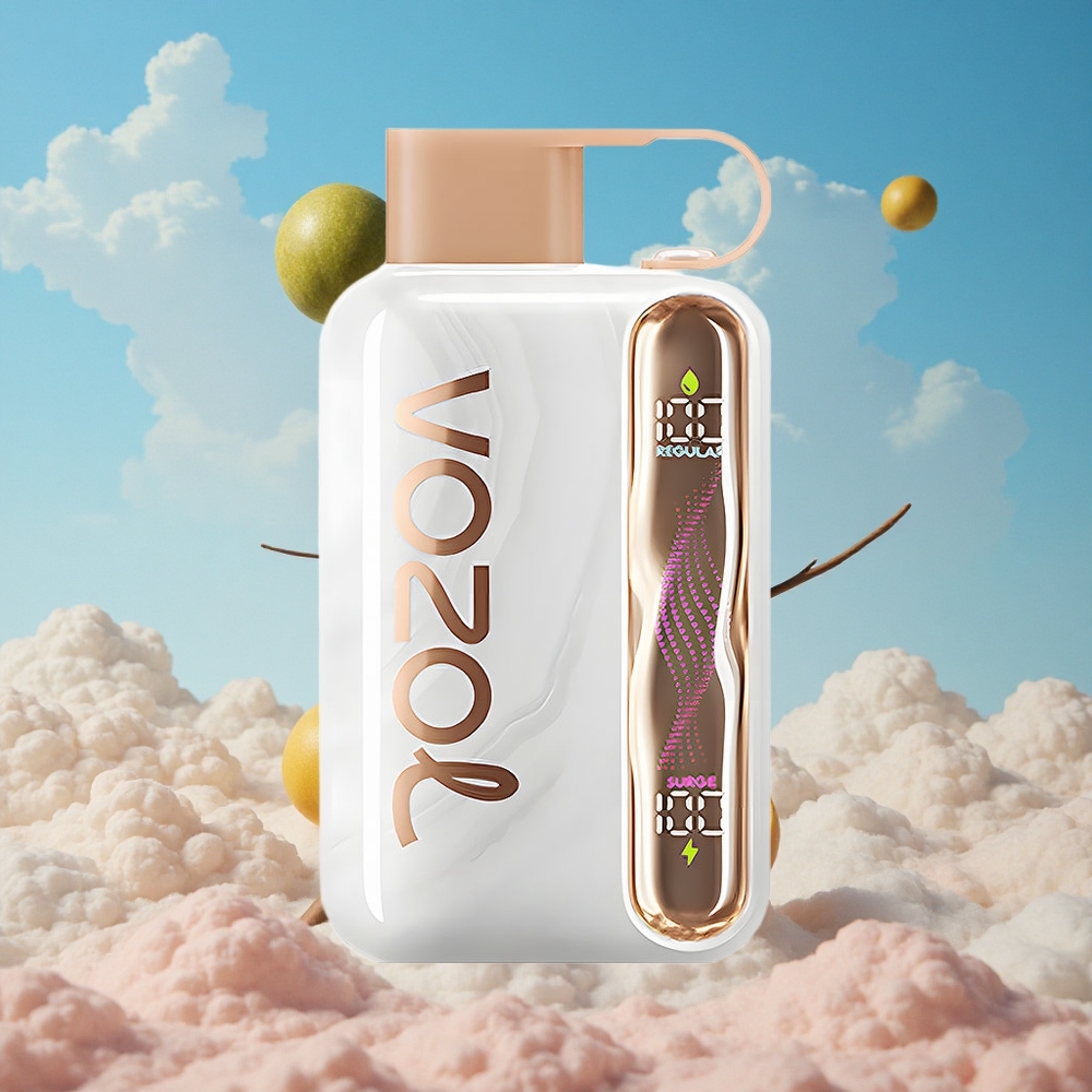 Aardbei Meloen Perzik VOZOL STAR 40000 Puffs Wegwerp Vape Type-C Belgie Groothandel