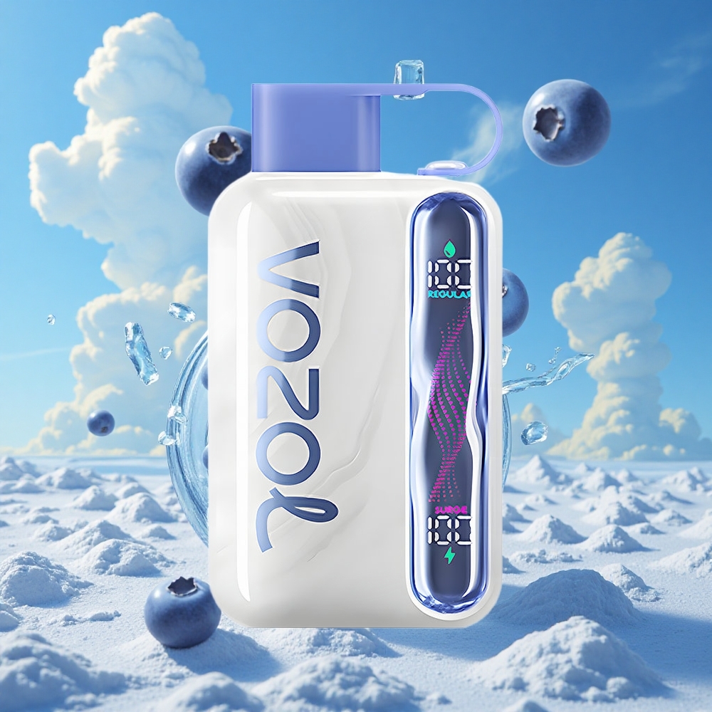 Blauwe Bes Ijs VOZOL STAR 40000 Puffs Type-C Belgie Groothandel