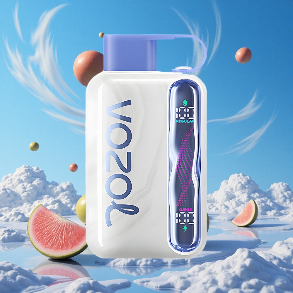 Blauwe Framboos Ijs VOZOL STAR 40000 Puffs Wegwerp Vape Type-C Belgie Groothandel