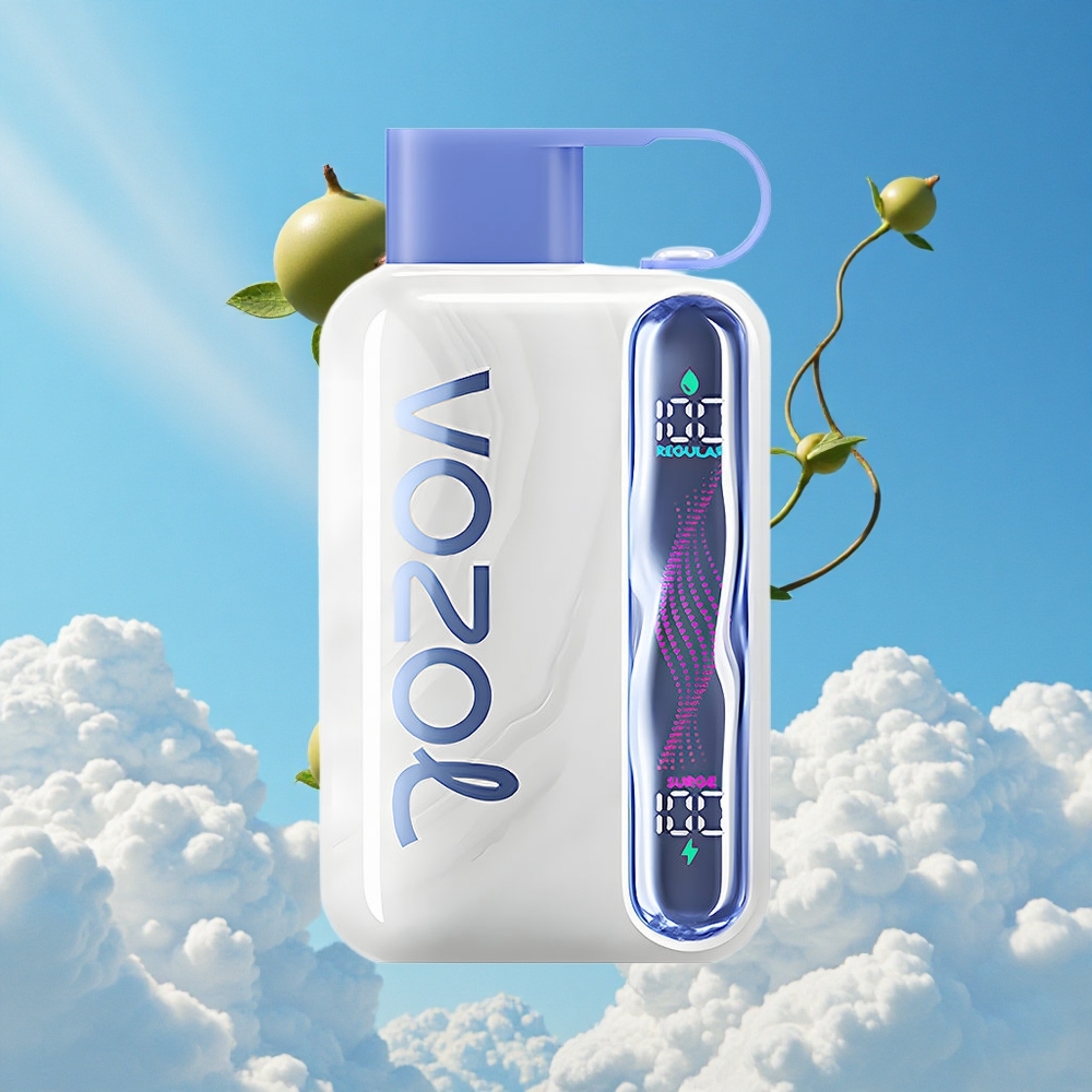 Blauwe Munt VOZOL STAR 40000 Puffs Type-C Belgie Groothandel