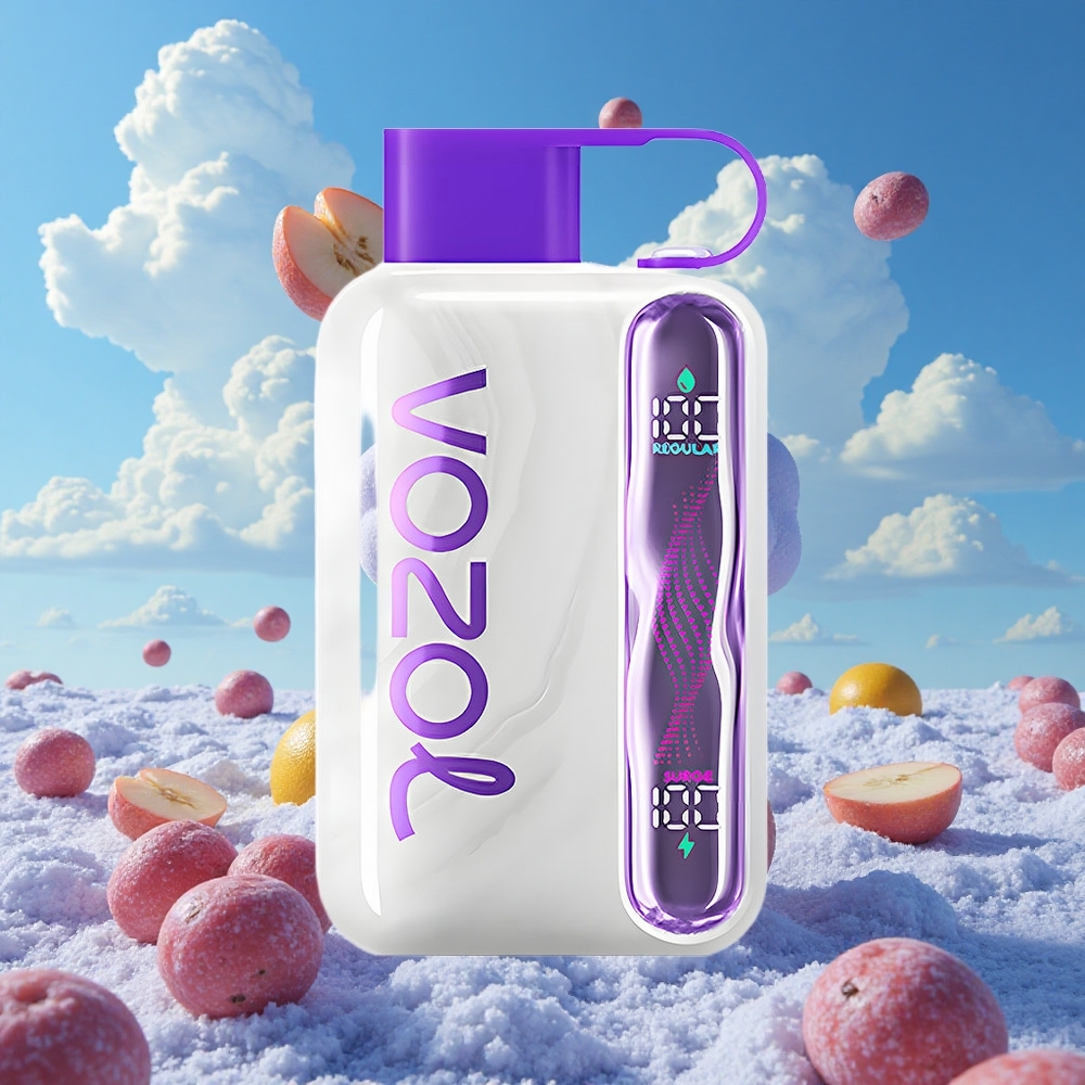 Druif IJs VOZOL STAR 40000 Puffs Oplaadbare Type-C Belgie Groothandel