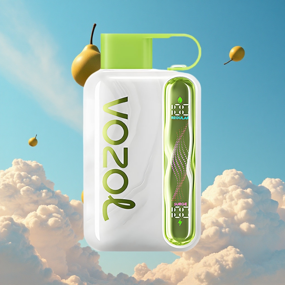 Koel Munt VOZOL STAR 40000 Puffs Type-C Belgie Groothandel