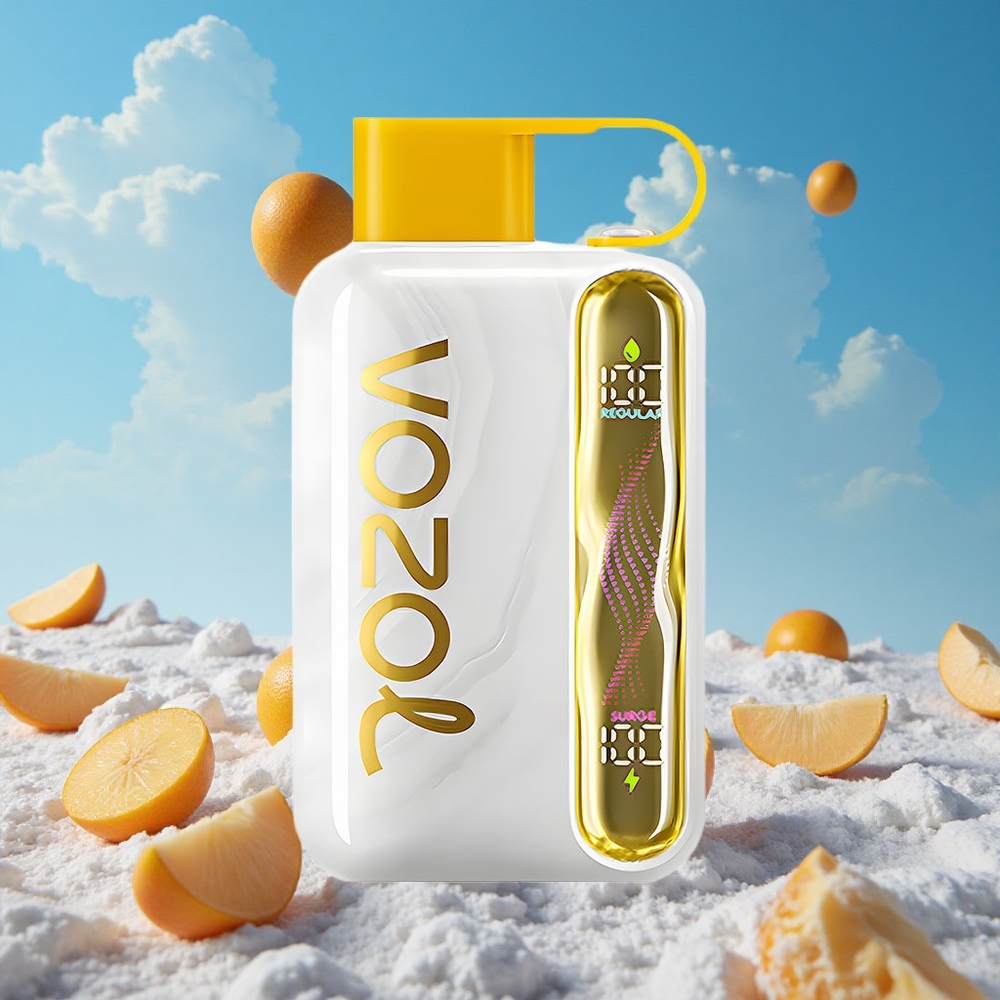 Mango IJs VOZOL STAR 40000 Puffs Wegwerp Vape Type-C Belgie Groothandel