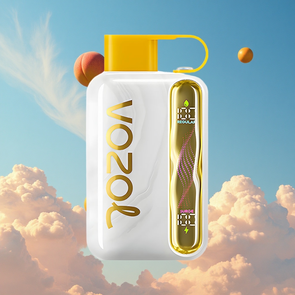 Mango Perzik VOZOL STAR 40000 Puffs Wegwerp Vape Type-C Belgie Groothandel