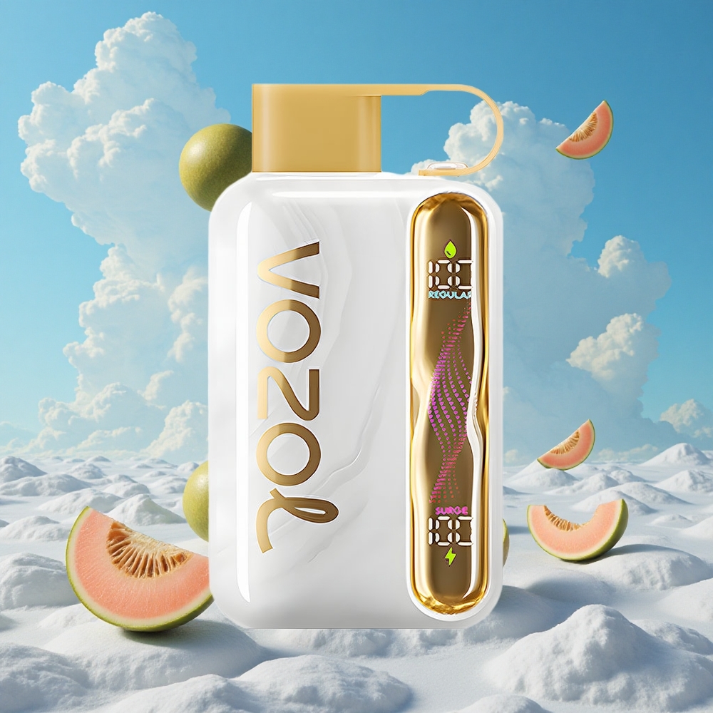 Meloen Ijs VOZOL STAR 40000 Puffs Wegwerp Vape Type-C Belgie Groothandel