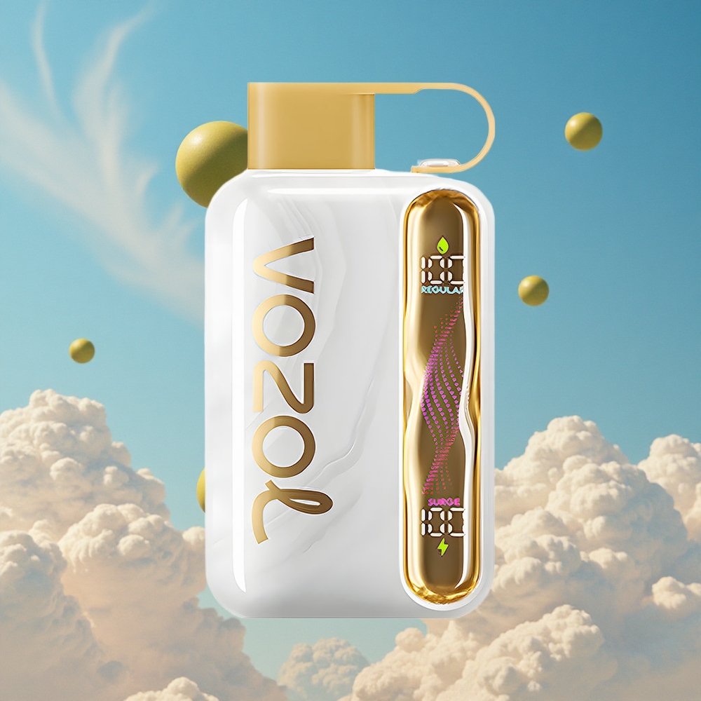 Meloen Kauwgom VOZOL STAR 40000 Puffs Wegwerp Vape Type-C Laadpoort Belgie Groothandel