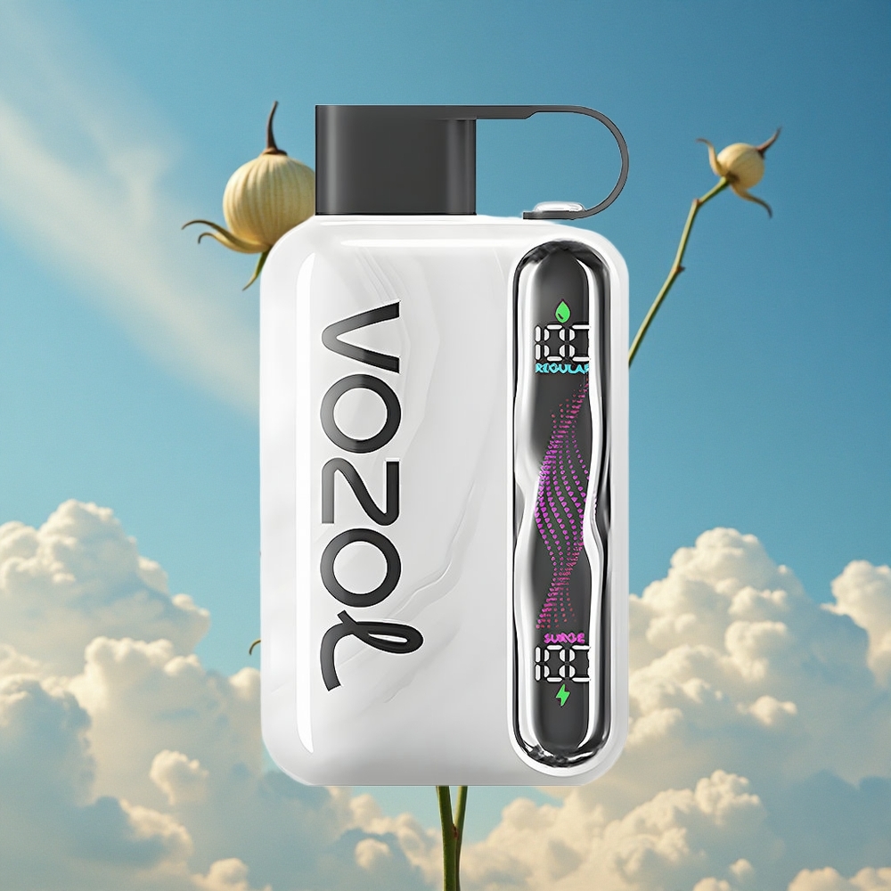 Tabak VOZOL STAR 40000 Puffs Wegwerp Vape Type-C Belgie Groothandel