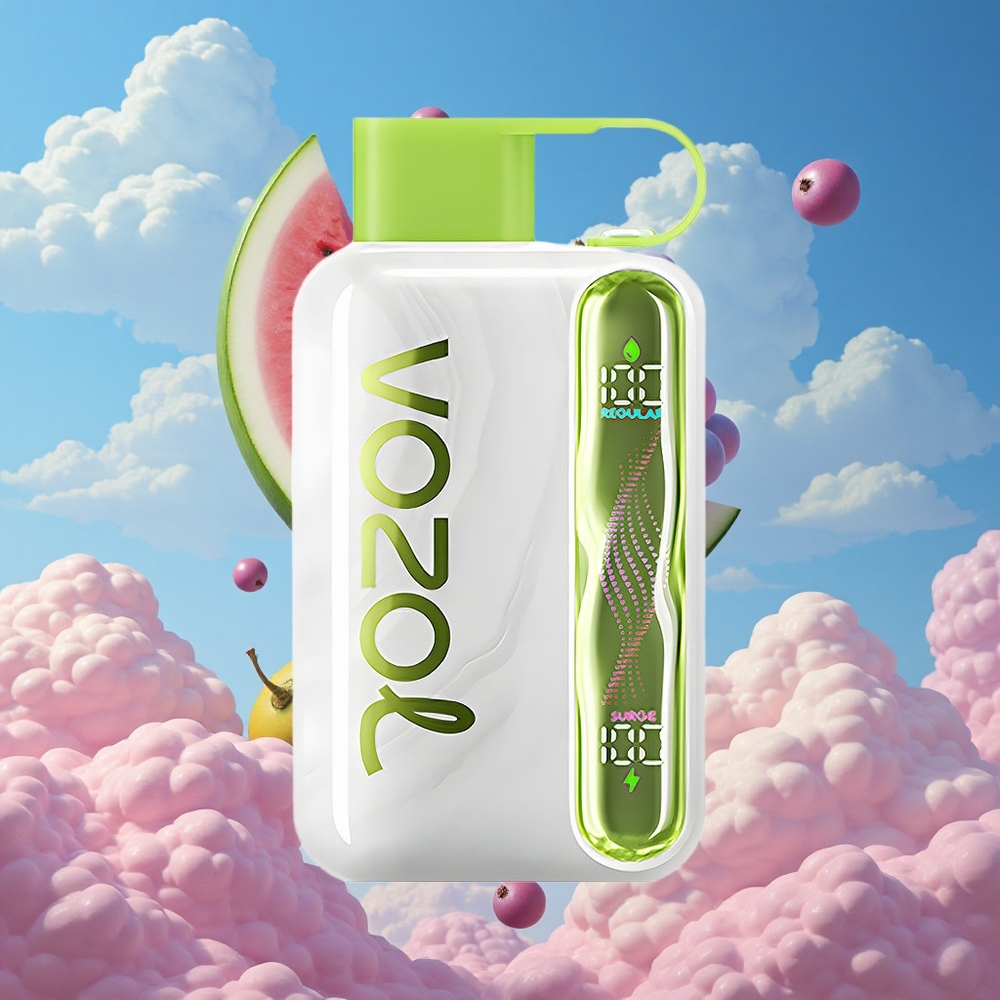 Watermeloen Druif Boysenbes VOZOL STAR 40000 Puffs Wegwerp Vape met Type-C opladen Belgie Groothandel