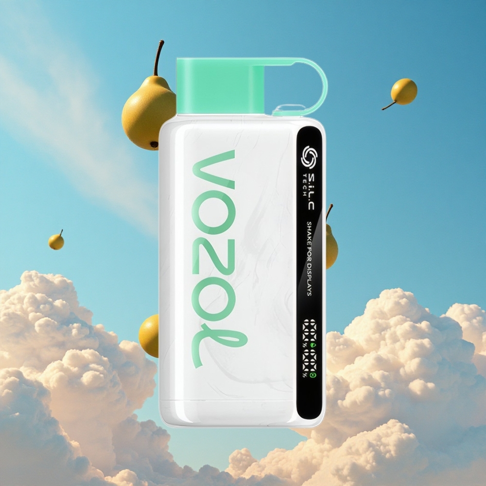 Koel Munt VOZOL STAR 9000/12000 Wegwerp Vape tot 12000 Puffjes Met 650mAh Batterij Belgie Groothandel
