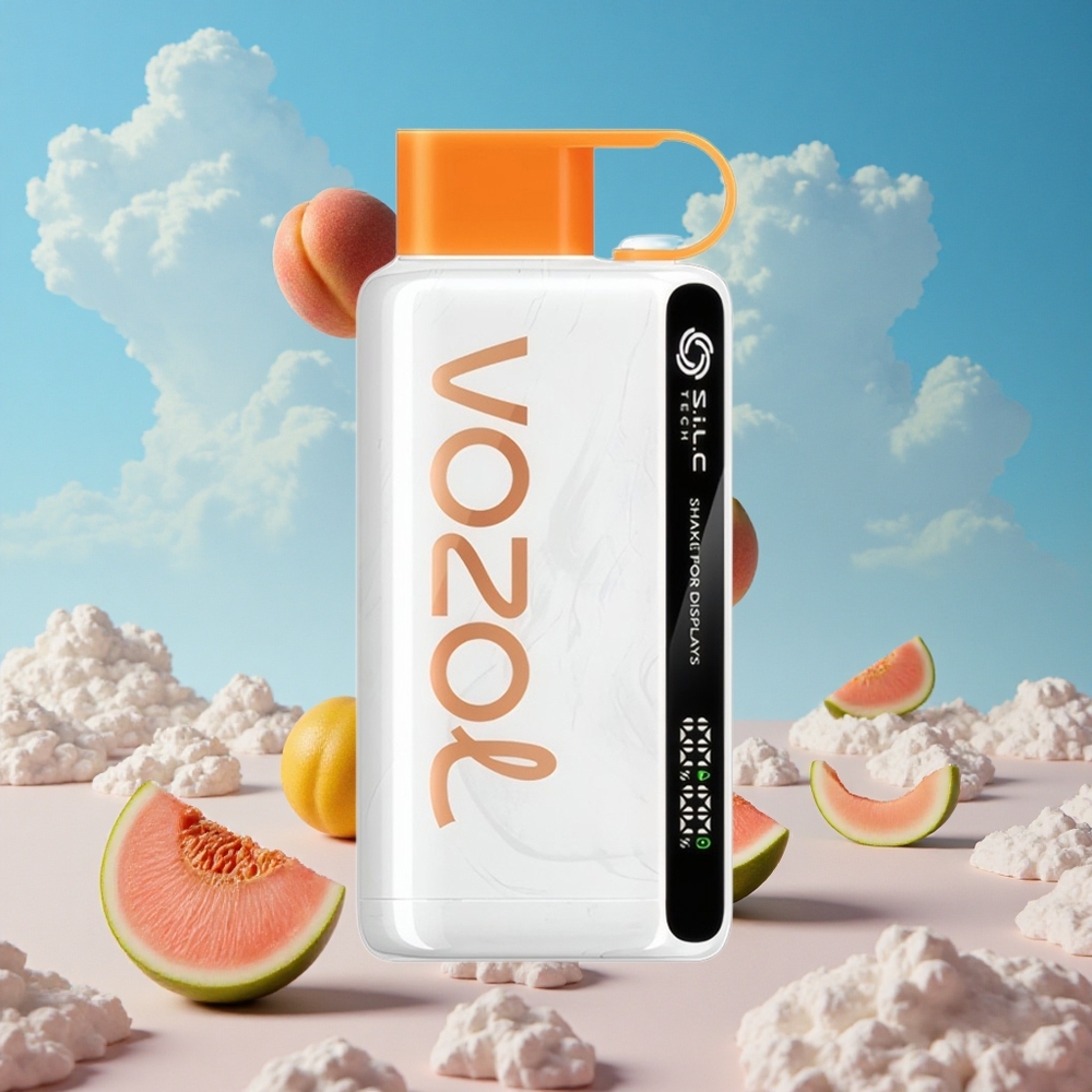 Perzik Mango Watermeloen VOZOL STAR 9000/12000 Wegwerp Vape met Snellere Oplading Belgie Groothandel