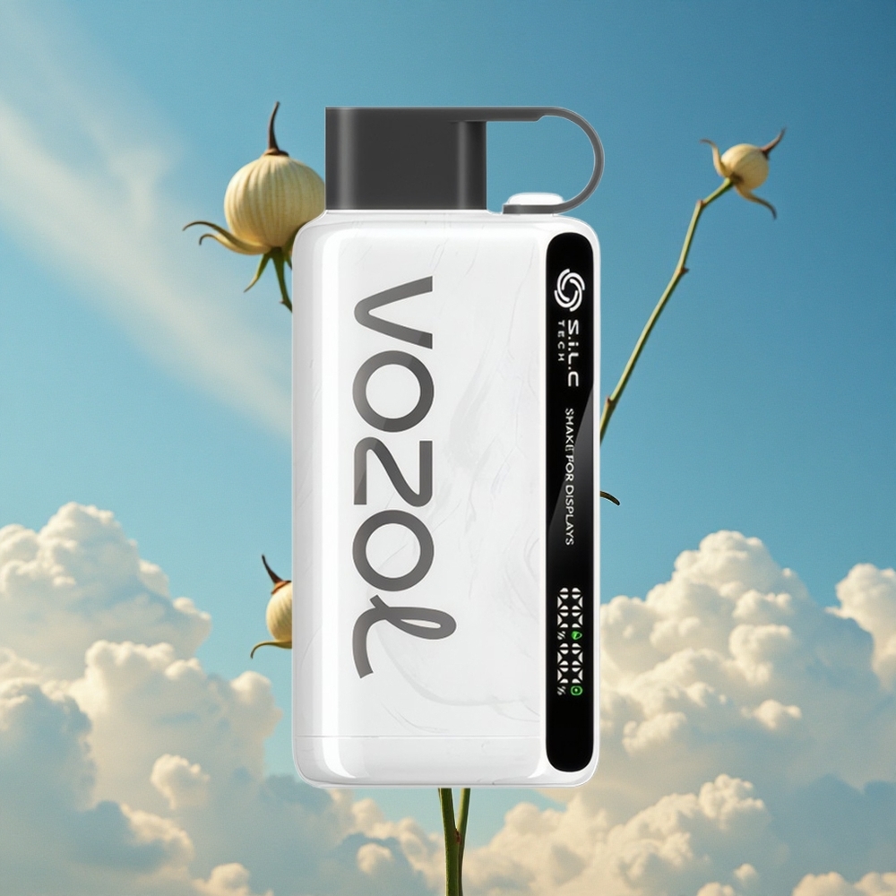 Tabak VOZOL STAR 9000/12000 Wegwerp Vape met Snel Opladen Belgie Groothandel