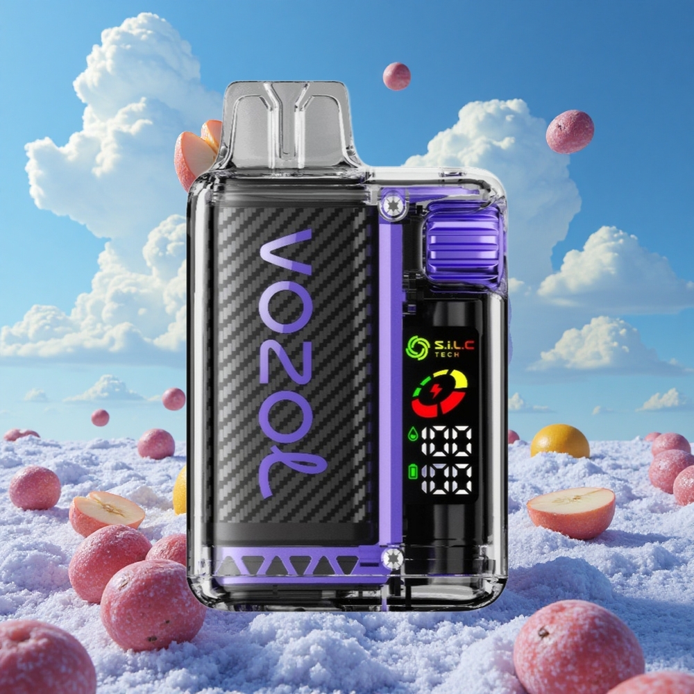 Druif IJs VOZOL Vista 20000 Puffs Oplaadbare Batterij 650mAh Belgie Groothandel