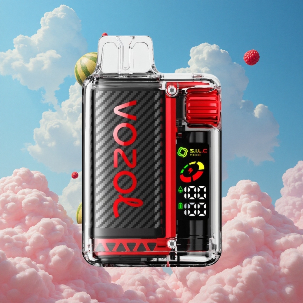 Framboos Watermeloen VOZOL Vista 20000 Puffs Oplaadbare Herbruikbare Kit 650mAh Batterij Belgie Groothandel