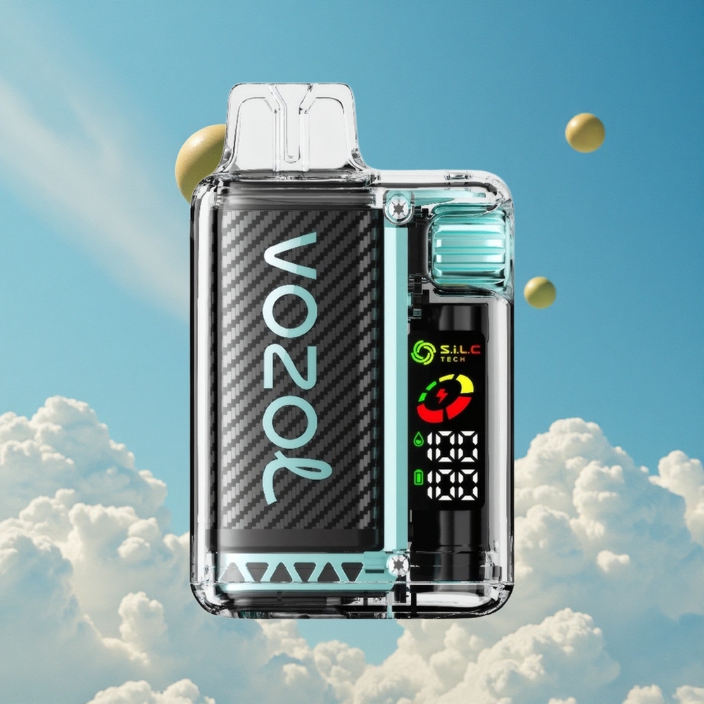 Miami Munt VOZOL Vista 20000 Puffs Oplaadbare Herbruikbare Kit Belgie Groothandel