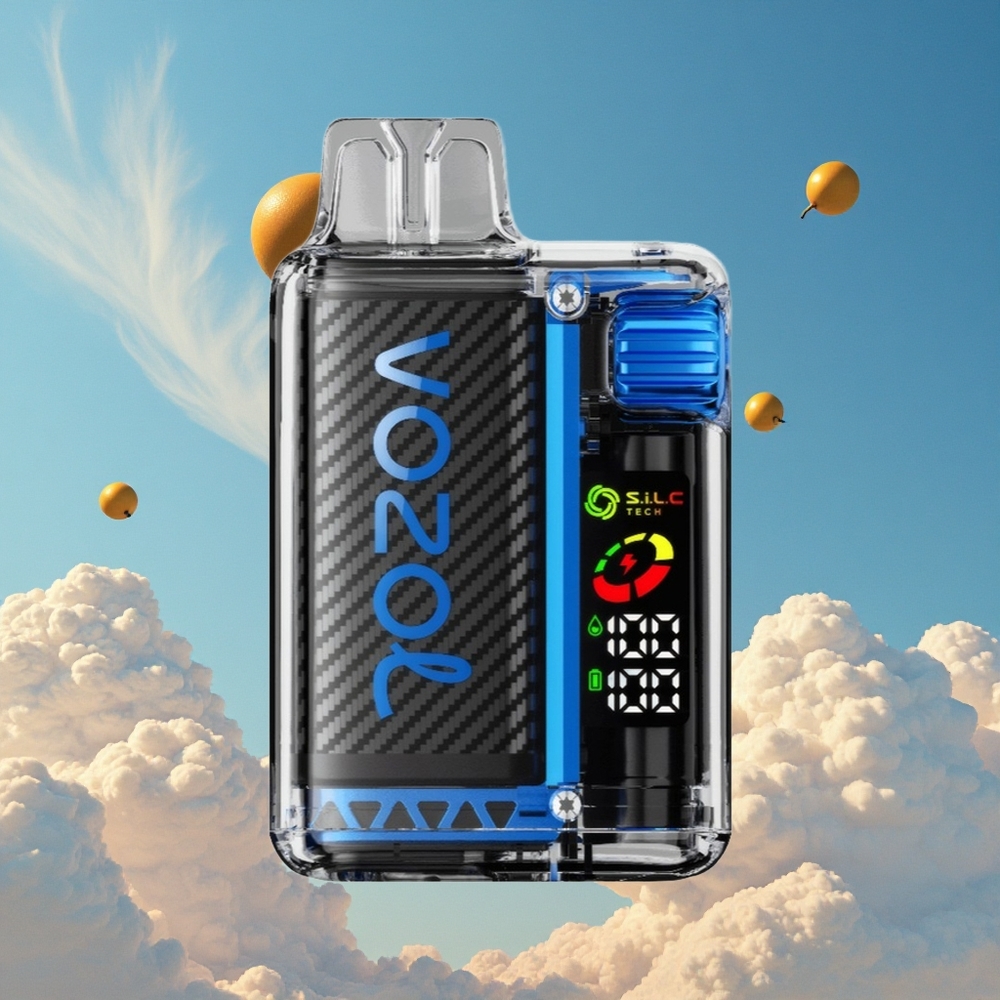 Munt Brand VOZOL Vista 20000 Puffs Oplaadbare batterij 650mAh Belgie Groothandel