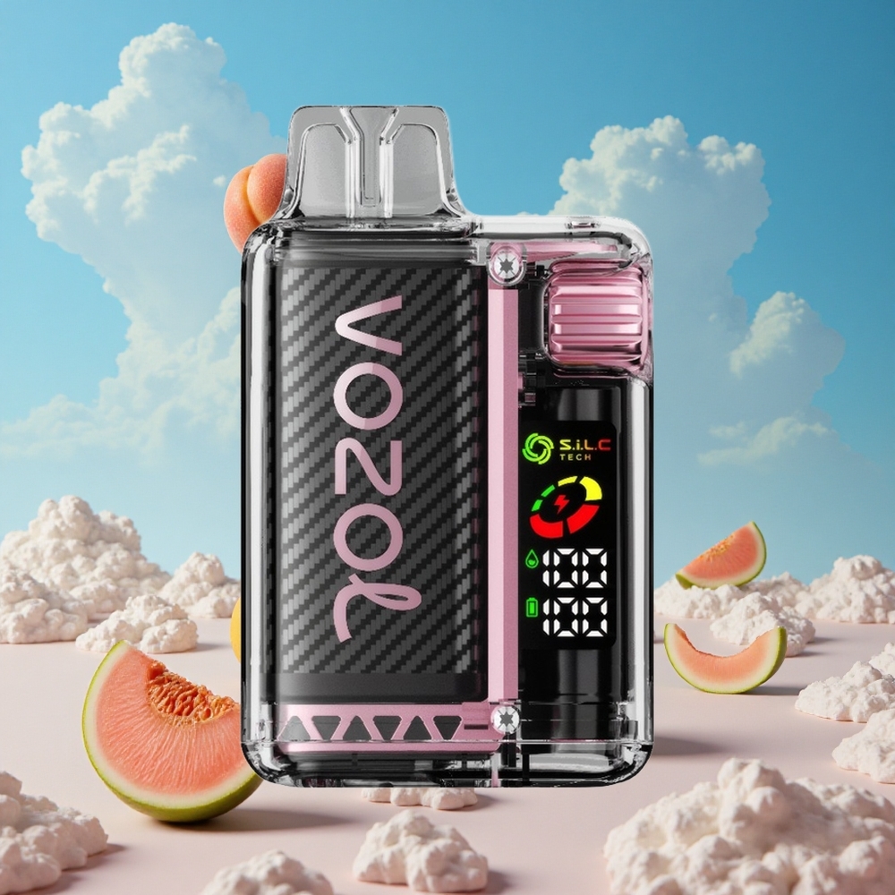 Perzik Mango Watermeloen VOZOL Vista 20000 Puffs Oplaadbare Herbruikbare Kit met OLED Scherm Belgie Groothandel